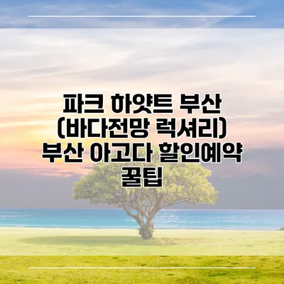파크 하얏트 부산 (바다전망 럭셔리) 부산 아고다 할인예약 꿀팁