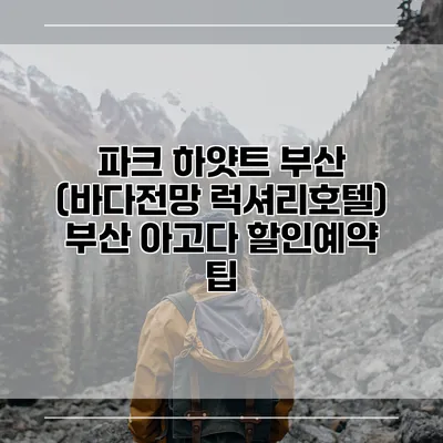 파크 하얏트 부산 (바다전망 럭셔리호텔) 부산 아고다 할인예약 팁