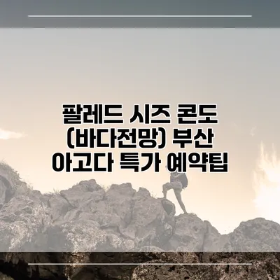 팔레드 시즈 콘도 (바다전망) 부산 아고다 특가 예약팁