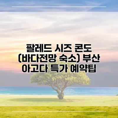 팔레드 시즈 콘도 (바다전망 숙소) 부산 아고다 특가 예약팁