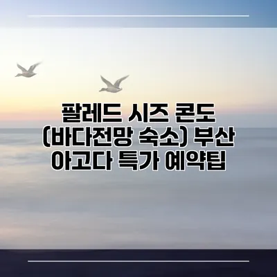 팔레드 시즈 콘도 (바다전망 숙소) 부산 아고다 특가 예약팁