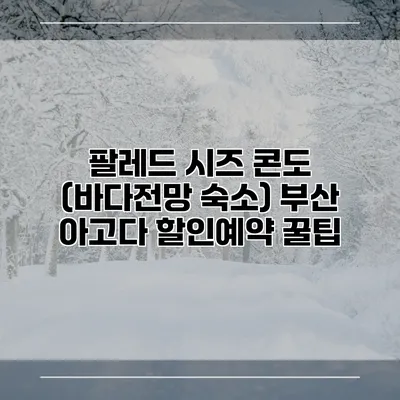팔레드 시즈 콘도 (바다전망 숙소) 부산 아고다 할인예약 꿀팁