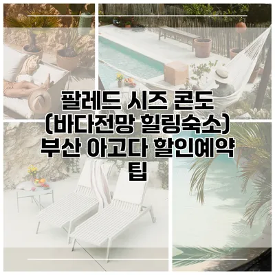 팔레드 시즈 콘도 (바다전망 힐링숙소) 부산 아고다 할인예약 팁