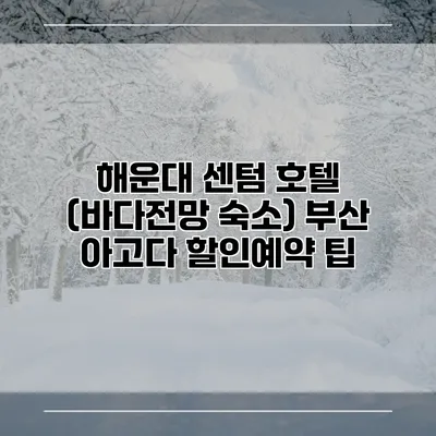 해운대 센텀 호텔 (바다전망 숙소) 부산 아고다 할인예약 팁