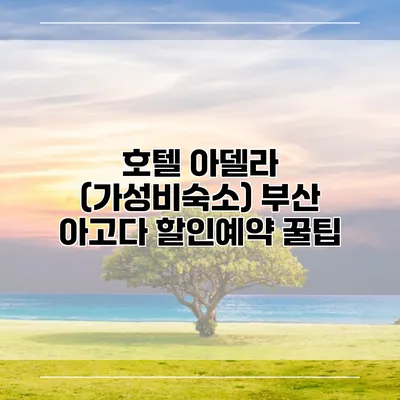 호텔 아델라 (가성비숙소) 부산 아고다 할인예약 꿀팁