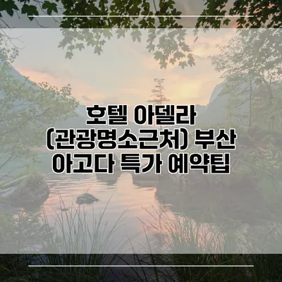 호텔 아델라 (관광명소근처) 부산 아고다 특가 예약팁