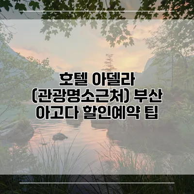 호텔 아델라 (관광명소근처) 부산 아고다 할인예약 팁