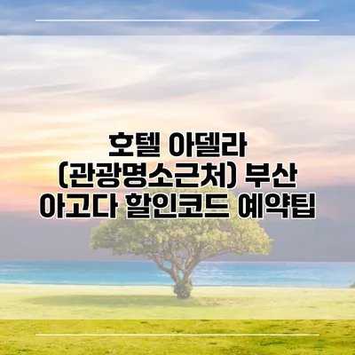 호텔 아델라 (관광명소근처) 부산 아고다 할인코드 예약팁