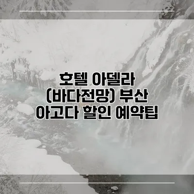호텔 아델라 (바다전망) 부산 아고다 할인 예약팁