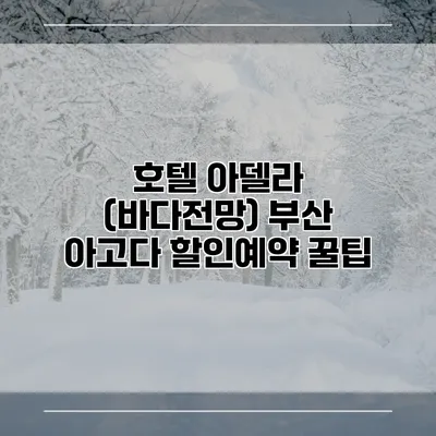 호텔 아델라 (바다전망) 부산 아고다 할인예약 꿀팁