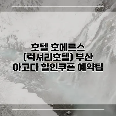 호텔 호메르스 (럭셔리호텔) 부산 아고다 할인쿠폰 예약팁