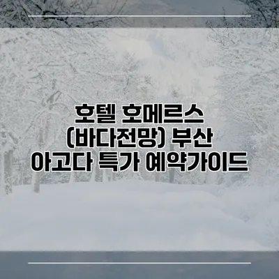호텔 호메르스 (바다전망) 부산 아고다 특가 예약가이드