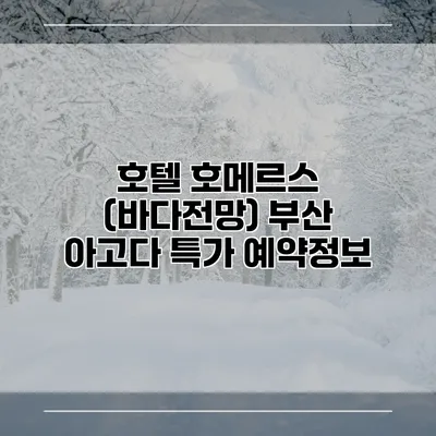 호텔 호메르스 (바다전망) 부산 아고다 특가 예약정보