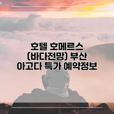 호텔 호메르스 (바다전망) 부산 아고다 특가 예약정보