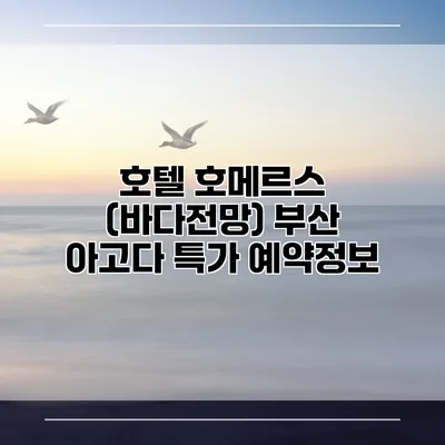 호텔 호메르스 (바다전망) 부산 아고다 특가 예약정보