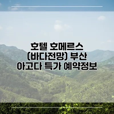 호텔 호메르스 (바다전망) 부산 아고다 특가 예약정보