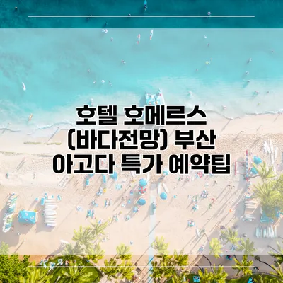 호텔 호메르스 (바다전망) 부산 아고다 특가 예약팁