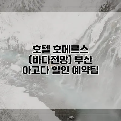 호텔 호메르스 (바다전망) 부산 아고다 할인 예약팁