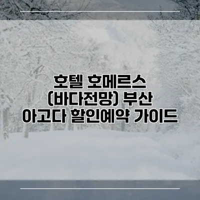 호텔 호메르스 (바다전망) 부산 아고다 할인예약 가이드
