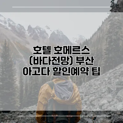 호텔 호메르스 (바다전망) 부산 아고다 할인예약 팁