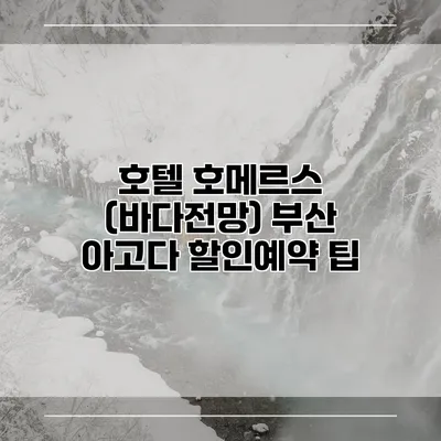 호텔 호메르스 (바다전망) 부산 아고다 할인예약 팁