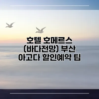 호텔 호메르스 (바다전망) 부산 아고다 할인예약 팁