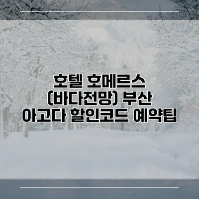 호텔 호메르스 (바다전망) 부산 아고다 할인코드 예약팁