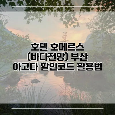 호텔 호메르스 (바다전망) 부산 아고다 할인코드 활용법