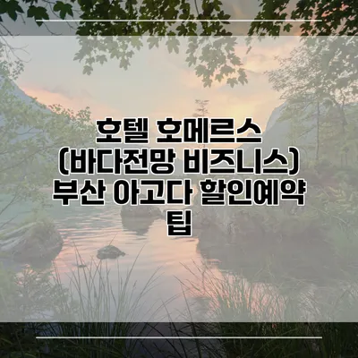호텔 호메르스 (바다전망 비즈니스) 부산 아고다 할인예약 팁