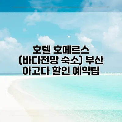호텔 호메르스 (바다전망 숙소) 부산 아고다 할인 예약팁