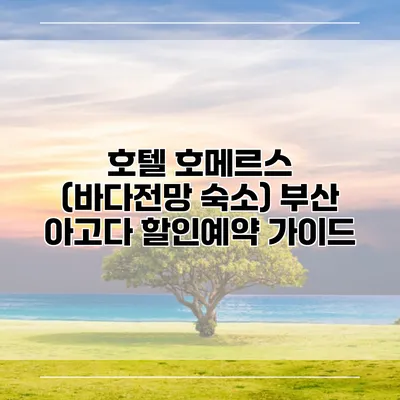 호텔 호메르스 (바다전망 숙소) 부산 아고다 할인예약 가이드