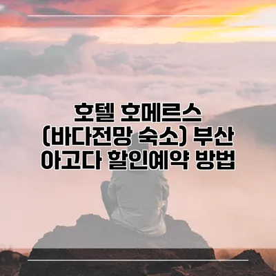 호텔 호메르스 (바다전망 숙소) 부산 아고다 할인예약 방법