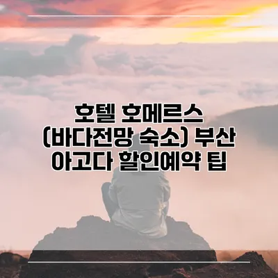 호텔 호메르스 (바다전망 숙소) 부산 아고다 할인예약 팁