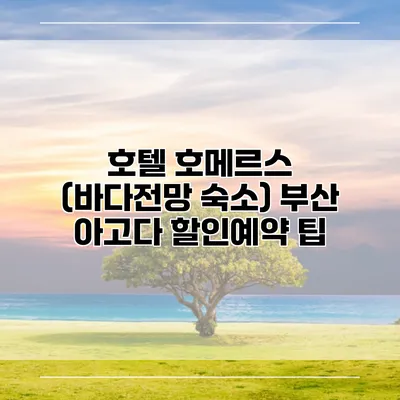 호텔 호메르스 (바다전망 숙소) 부산 아고다 할인예약 팁