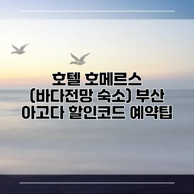 호텔 호메르스 (바다전망 숙소) 부산 아고다 할인코드 예약팁